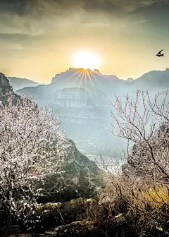 魅力古都——安阳 甲骨文的故乡、周易的发源地、红旗渠精神的发祥地_旅游资讯_河南省人民政府门户网站