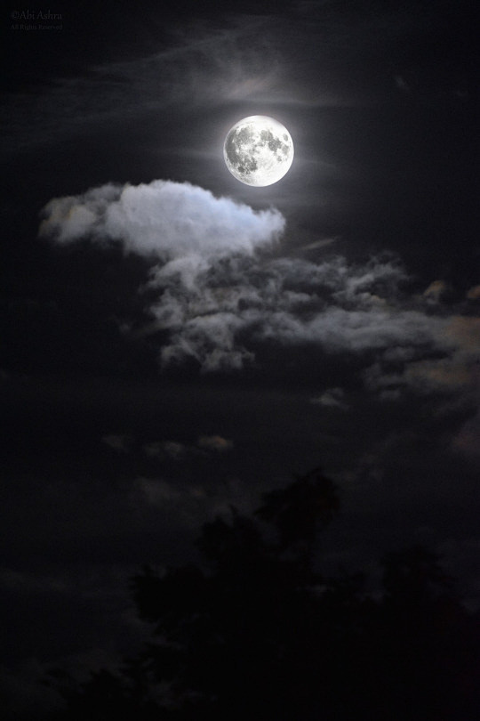 (6) Tumblr