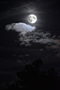 (6) Tumblr