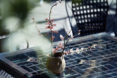 郑好眠采集到清欢，身心安顿