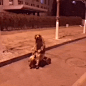 别说话了，赶紧上车！！！