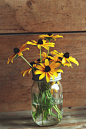 Yellow black-eyed Susan flowers in a glass jar