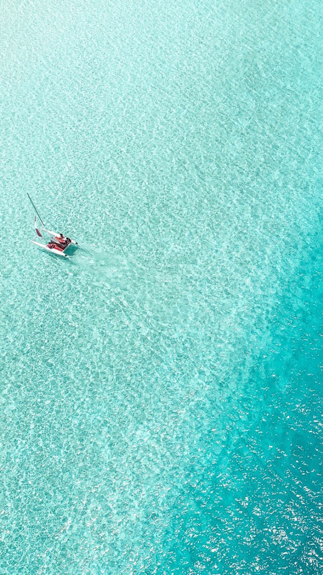 海