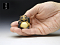 狸 : 山鹿,Yamaga,狸,現代根付,Contenporary Netsuke