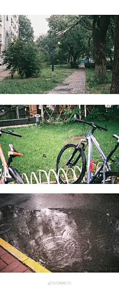 #胶片# #胶片日记#
【雨天】
下起了一场秋雨，
天气开始变得湿凉。
很喜欢这样淅淅沥沥的雨声，
在雨中散步，
一切都显很静谧。...展开全文c