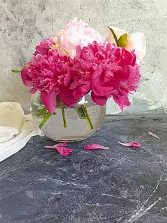混凝土背景上的花瓶花束牡丹