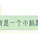 序号编号文字文章小标题