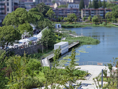 斗志改变未知采集到生态湿地公园