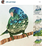 Animal Kingdom:  插画 鸟 鸟类 渐变  绿 蓝