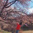 ruiruima123