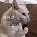 y阿菫