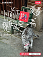 听说小红书终于出书了？ - 小红书