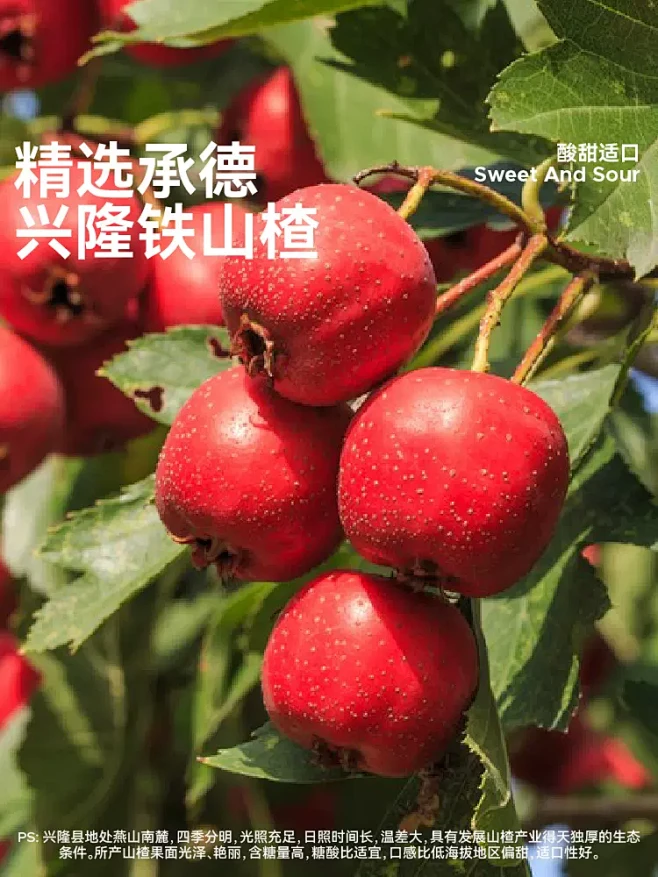 无趣的店空心山楂80g无核山楂干0脂肪果...