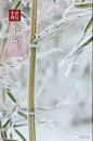 微信图片_20191112104911