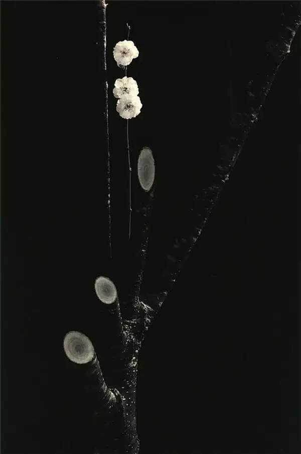 Masao Yamamoto