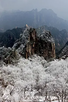 4月6日，在安徽黄山风景区拍摄的美丽雪景。