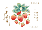 草莓包装｜草莓酒｜草莓礼盒｜包装设计_1_青稞_来自小红书网页版