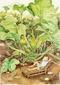 -插画家园-插画家园花园里住的那些小人儿-插画家园今年的夏天，没事儿就在郊外逛逛，遇见一些植物和一些猫-插画家园