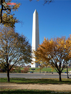 摇曳的小花采集到华盛顿纪念碑