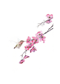中国古风水墨花手绘水彩植物花卉装饰 免抠png透明图片背景ps素材 (354)