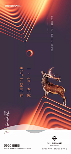 毛毛虫虫猪采集到事件