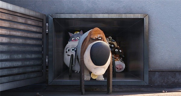 secret life of pets##宠物当家#the secret life of pets兔子太寂寞