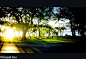 sunlight by kidult on 500px