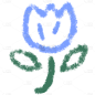 郁金香.png