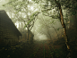 Ruins 16 / abandoned / Forestry relics and settlements