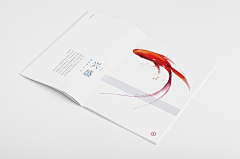 shmily_向暖采集到画册