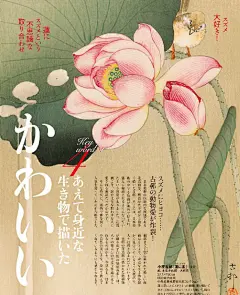 世界が愛した日本美術大研究，古典美学期刊《和樂》 ​​​​
