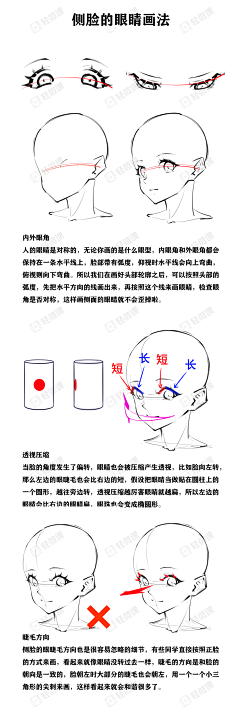 咸鱼臭豆腐采集到教程