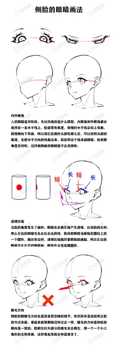 板绘都在看的动态-哔哩哔哩