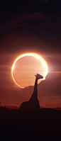 Eclipse, South Africa