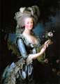 Marie Antoinette 法國歷史上當說是最廣為人知的王后瑪麗·安托瓦內的代表畫像。目前網上很多資料，包括影視作品往往將之稱為洛可可的代表，事實上，真正的洛可可之母是蓬巴杜夫人，而瑪麗王后所支持的其實是新古典主義藝術風格，在這幅肖像上，比較蓬巴杜夫人的代表畫像，可以看出兩種藝術風格在女裝設計上的明顯不同。首先是去掉了層層疊疊添加的絲綢蝴蝶結，改以單一的絲結作為裝飾，領口加以蕾絲邊裝飾，突出女性形體美，改變了袖口繁複的