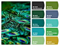 PEACOCK FEATHERS Paint colors from Chip It! by Sherwin-Williams