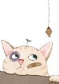 长草猫