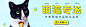 钻展640x200 banner