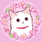 猫咪 头像 图源Twitter：@tatamepi