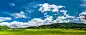Grassland and blue sky