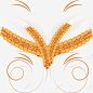 青稞植物麦穗图标 麦子 麦穗 麦穗图标 UI图标 设计图片 免费下载 页面网页 平面电商 创意素材