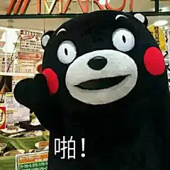 #情人节表情包# #搞笑# #爱情#熊本熊表情包#