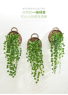 维护治安的辣条采集到植物挂饰