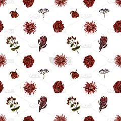 无缝图案与手绘彩色荚蒾，金丝桃属，郁金香，紫菀，变色花，孤挺花