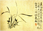 【写意】中国徐渭绘画作品欣赏《兰花图》