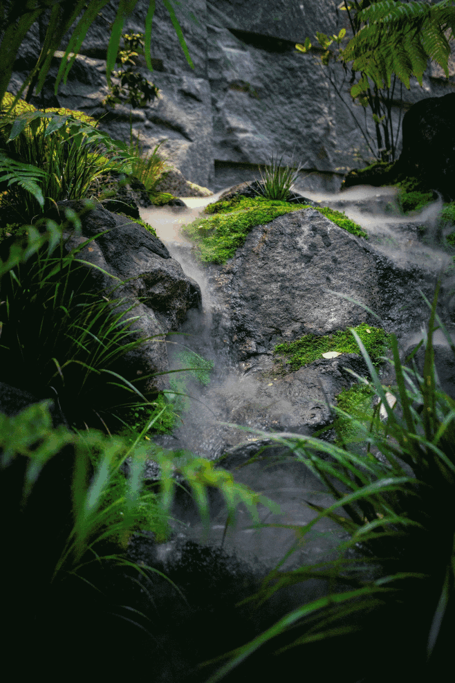 林间隙 / 至岸景观 – mooool木藕设计网-花瓣网