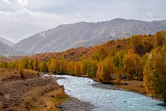 色彩斑斓的秋天森林山脉与河流的壁纸设计