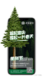 植树节