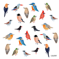 패턴_새 by 타그트라움 on Grafolio : 새들로 패턴을 제작해봤어요 핸드폰 배경화면으로 이쁘게 쓰세요!:-)