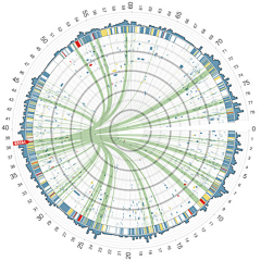 Lbj712916采集到15 Stunning Examples of Data Vis